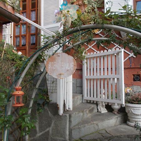 Il Granello Di Senape B&B Palazzo Canavese ภายนอก รูปภาพ